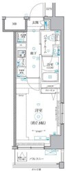 クオリタス菊川の物件間取画像